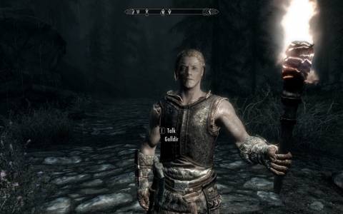 Top 10 Best Followers In Skyrim 3 gollir