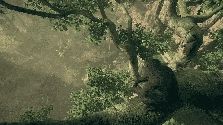 monkey on tree