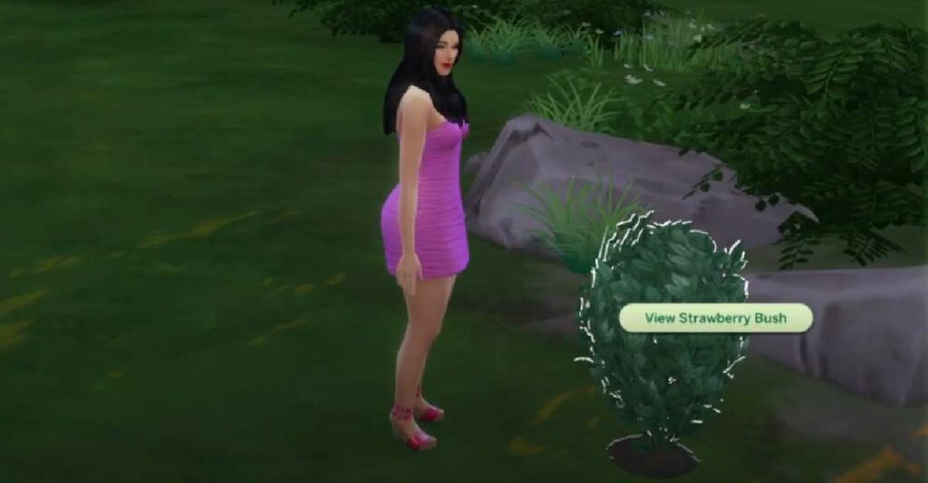 How To Get Strawberries In Sims 4 XPGoblin