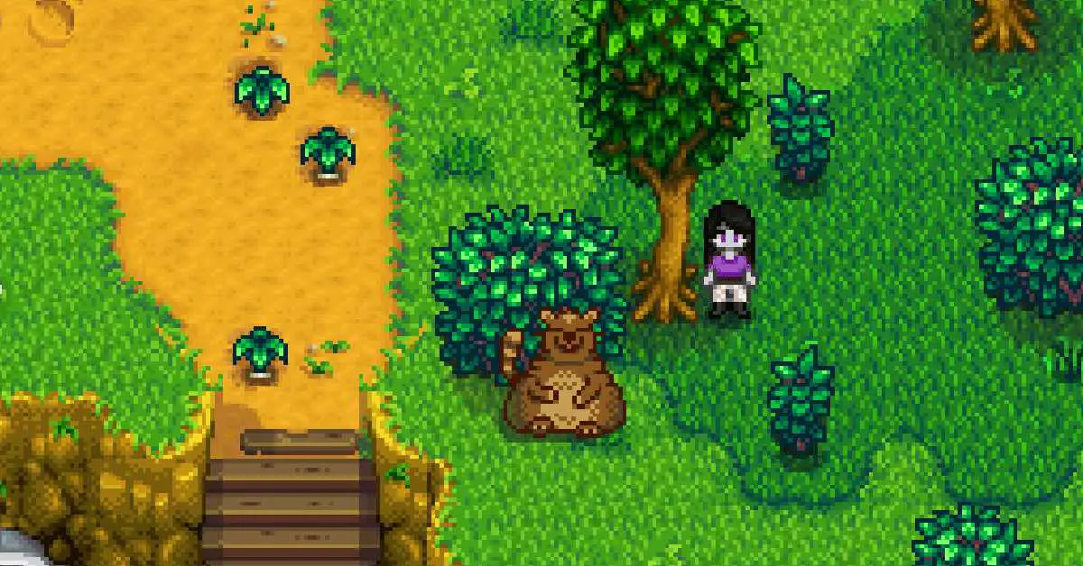 Trash Bear Stardew Valley