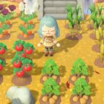 how to get wheat in animal crossing