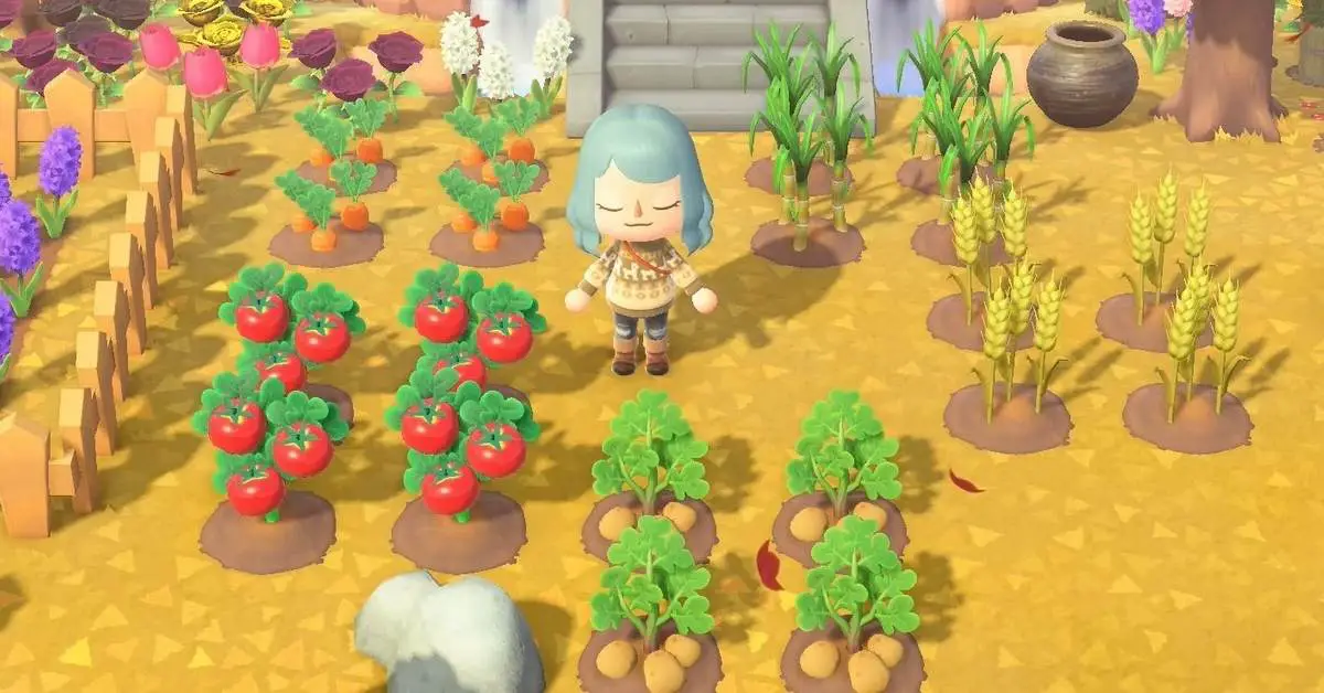 how to get wheat in animal crossing