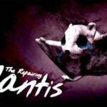 therepairingmantis review